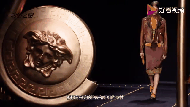 爱游戏APP-持续失利首场状态出色，公牛观众沸腾！，莎拉波娃重返赛场全场沸腾不已-爱游戏APP